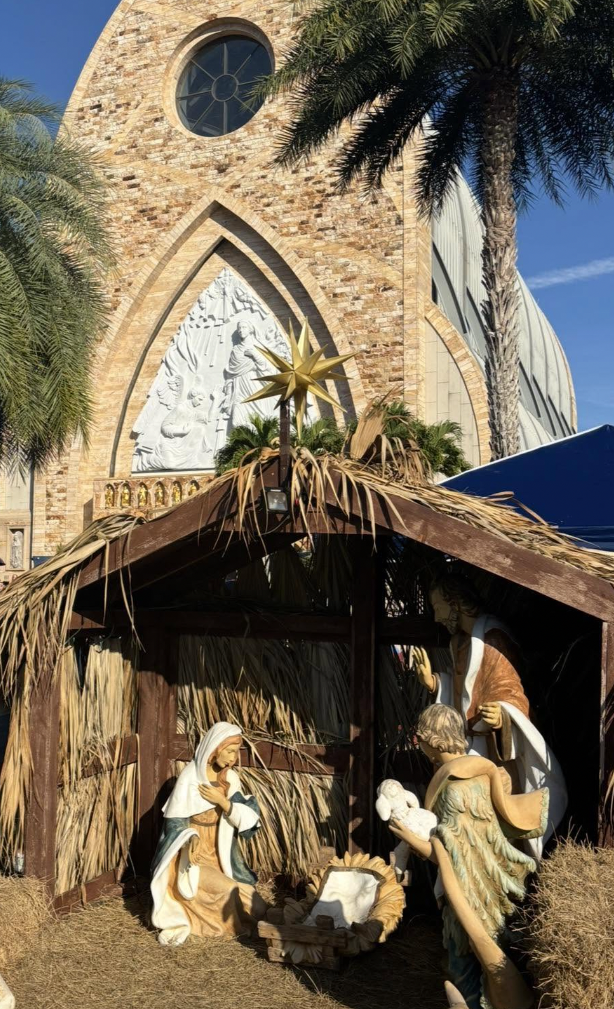 Live Nativity Play & Petting Zoo | Ave Maria Christmas Events 2026 flyer