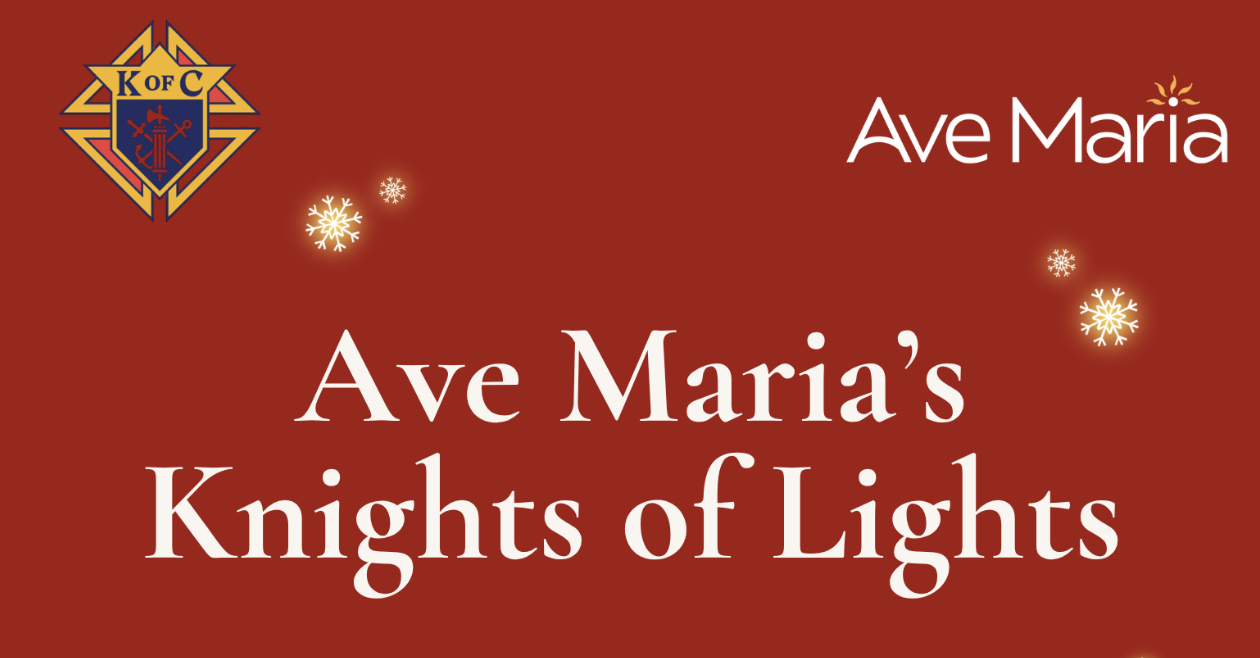 Christmas in Ave Maria, Florida: Knights of Lights Brings Hallmark Holiday Magic to Southwest Florida 🎄